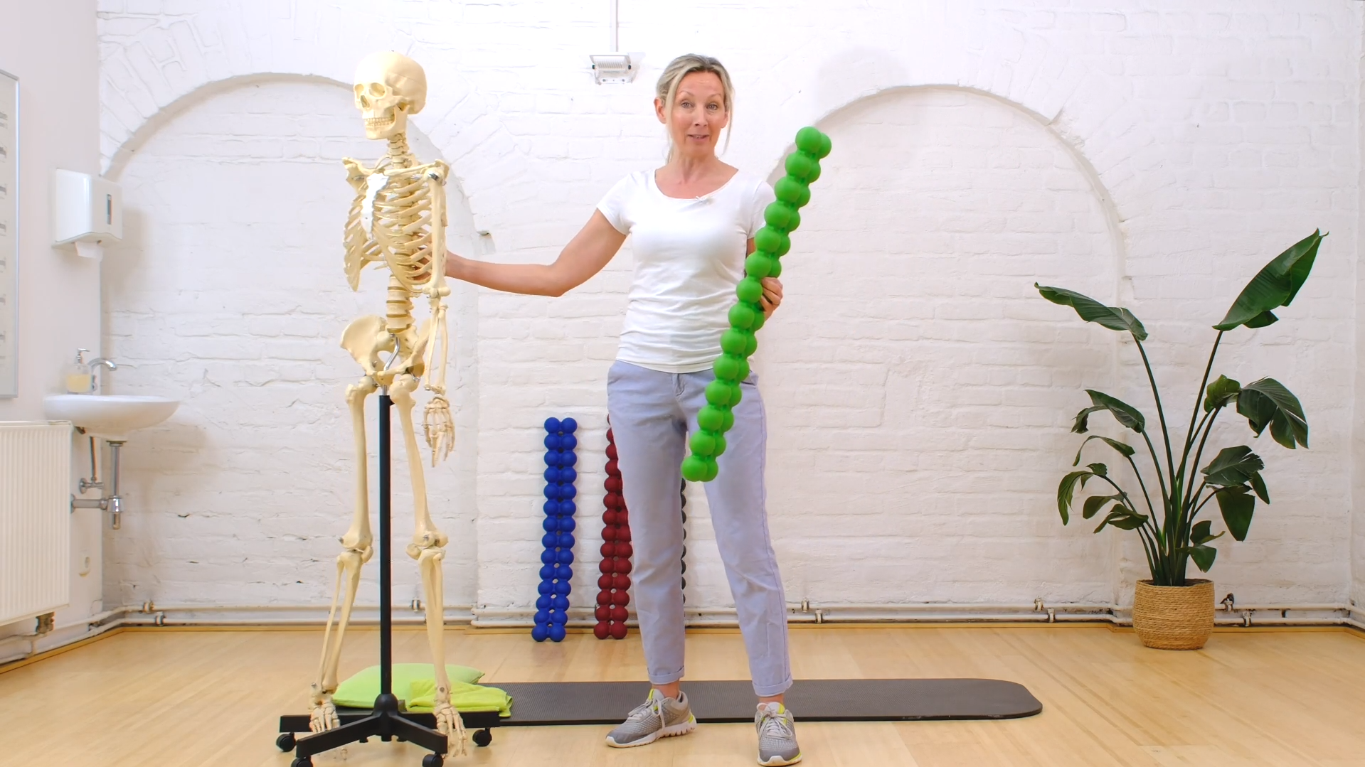 SPINEFITTER® by SISSEL® Certified Instructor Video Workshop - Professional (Deutsch)
