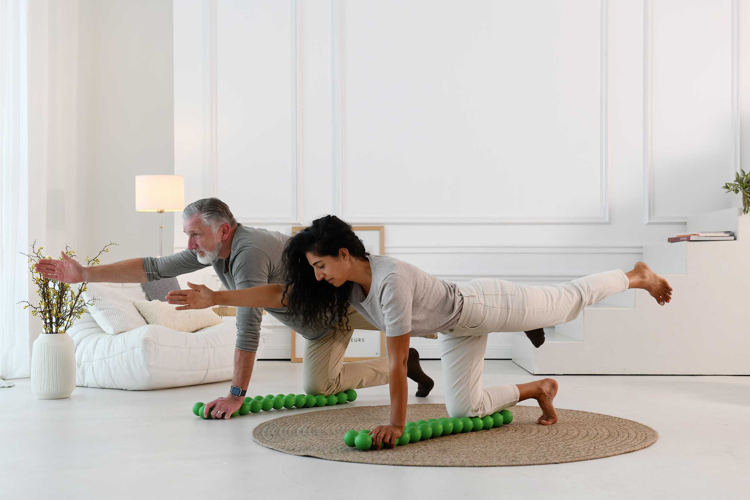 エクササイズグッズ SPINEFITTER by SISSEL 楽天市場】スパインフィッター SPINEFITTER by SISSEL [Lab