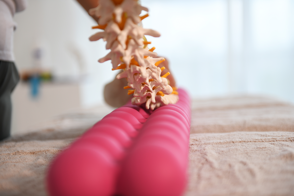 SPINEFITTER® Pink Hero Edition – SPINEFITTER by SISSEL®